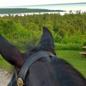 Meet your Posher, Kelli